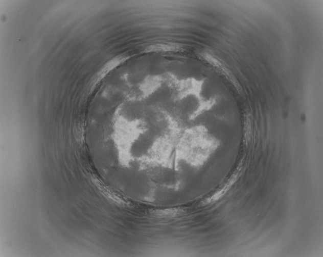 X0000070251017200606301620