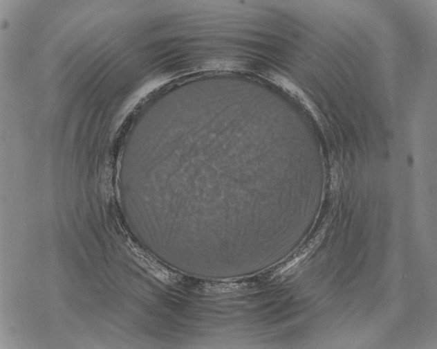 X0000070251019200606301620