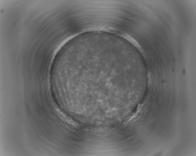 X0000070251020200606301620