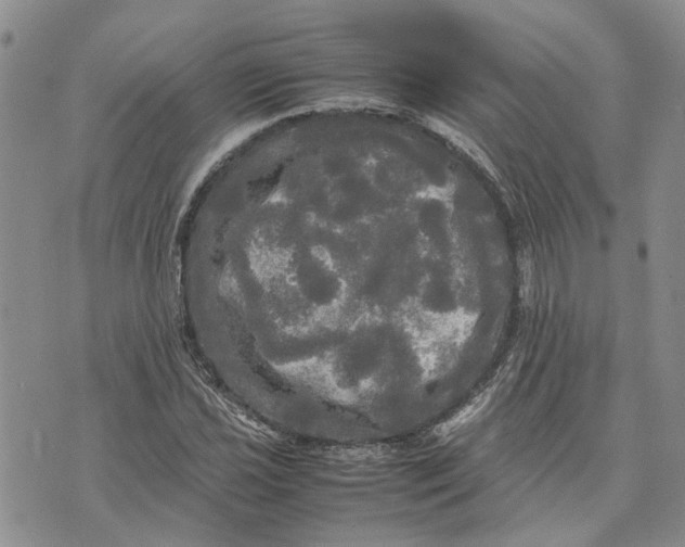 X0000070251021200606301620