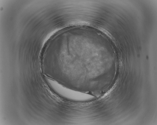 X0000070251022200606301620