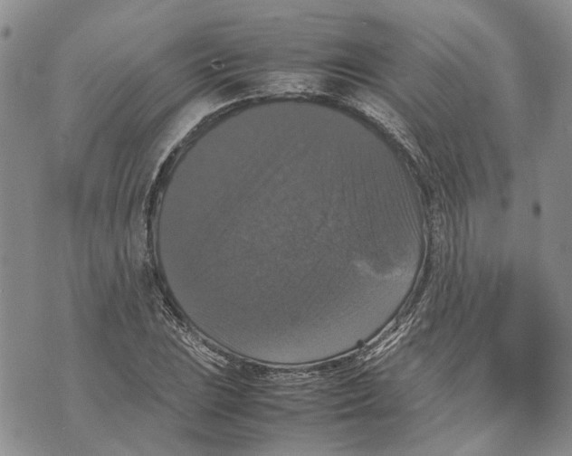 X0000070251023200606301620