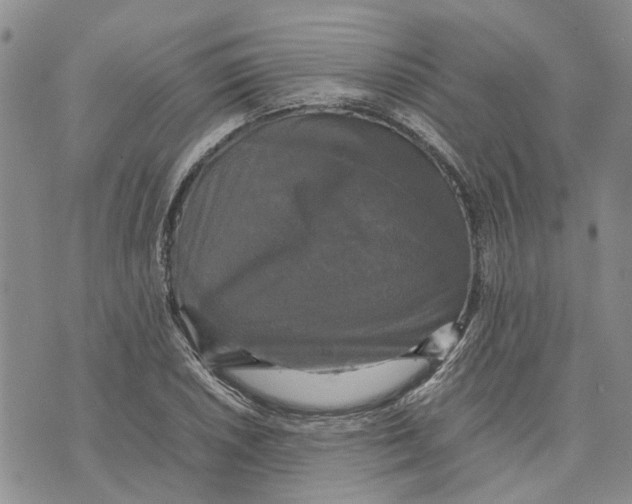 X0000070251026200606301620