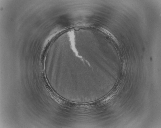 X0000070251027200606301620