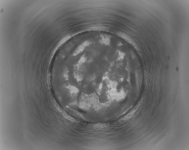 X0000070251029200606301620