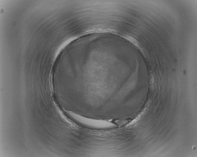 X0000070251030200606301620