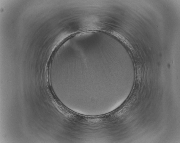 X0000070251031200606301620