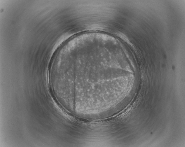 X0000070251032200606301621