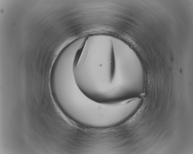 X0000070251034200606301621