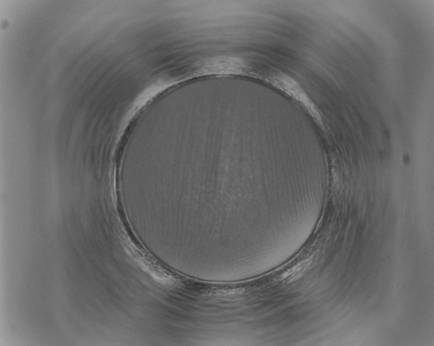 X0000070251035200606301621