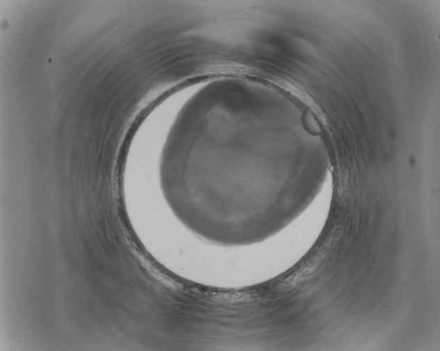 X0000070251037200606301621