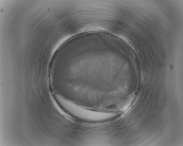 X0000070251038200606301621