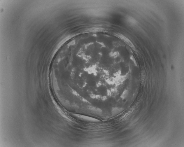 X0000070251039200606301621