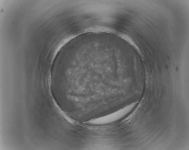 X0000070251040200606301621