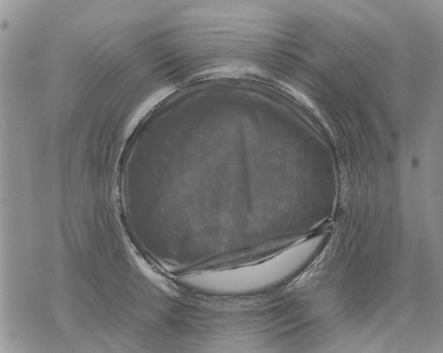 X0000070251042200606301621