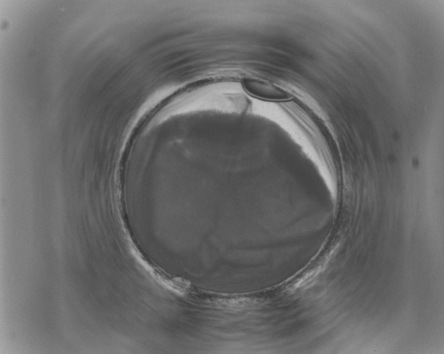 X0000070251045200606301621