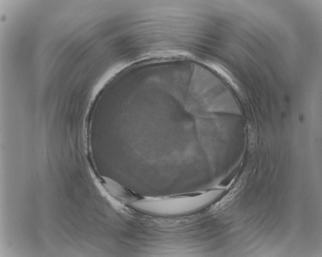 X0000070251046200606301621