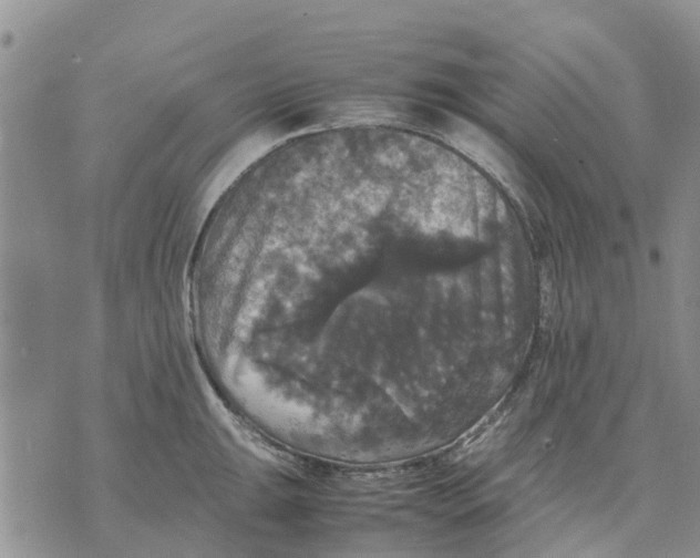 X0000070251047200606301621