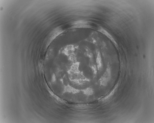 X0000070251049200606301621