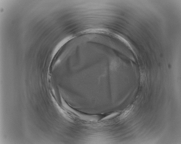 X0000070251050200606301621