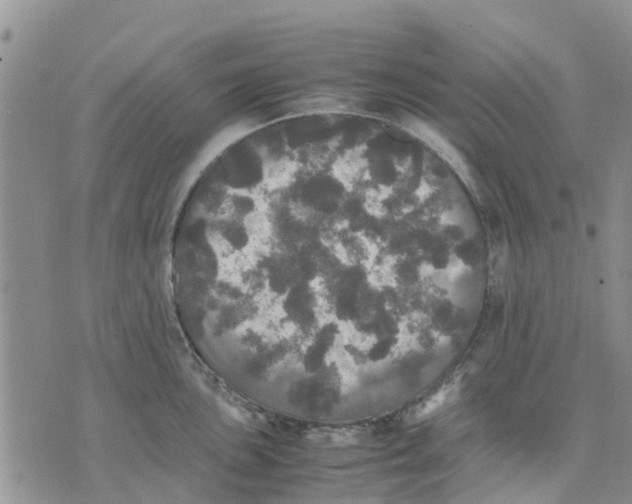 X0000070251051200606301621