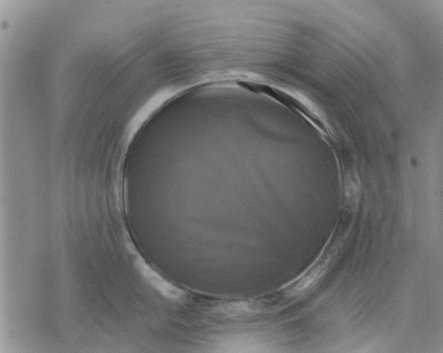 X0000070251054200606301621