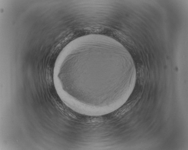 X0000070251058200606301620