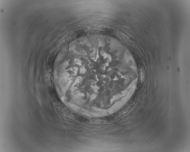 X0000070251059200606301620