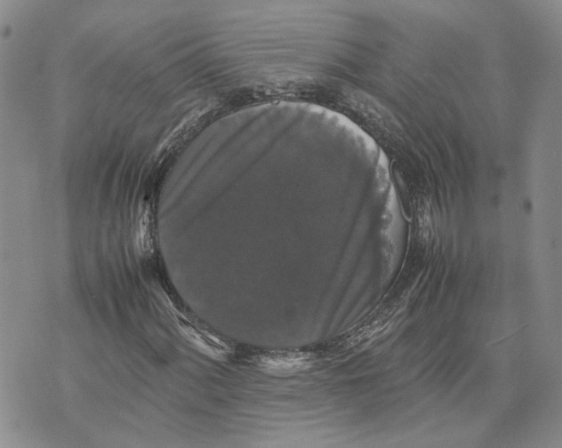 X0000070251060200606301620