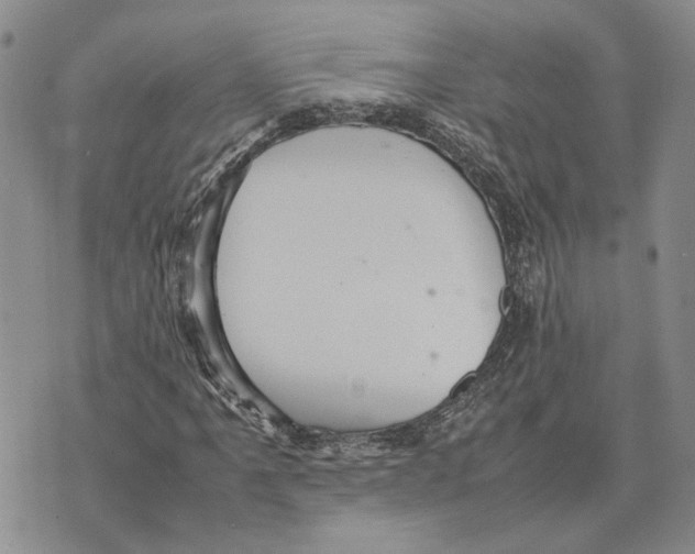 X0000070251061200606301620