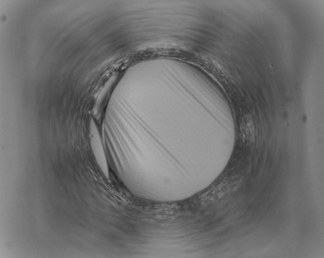 X0000070251062200606301620