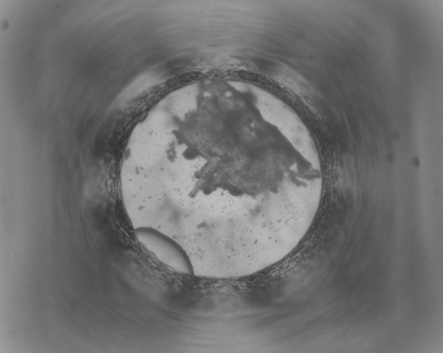 X0000070251063200606301620