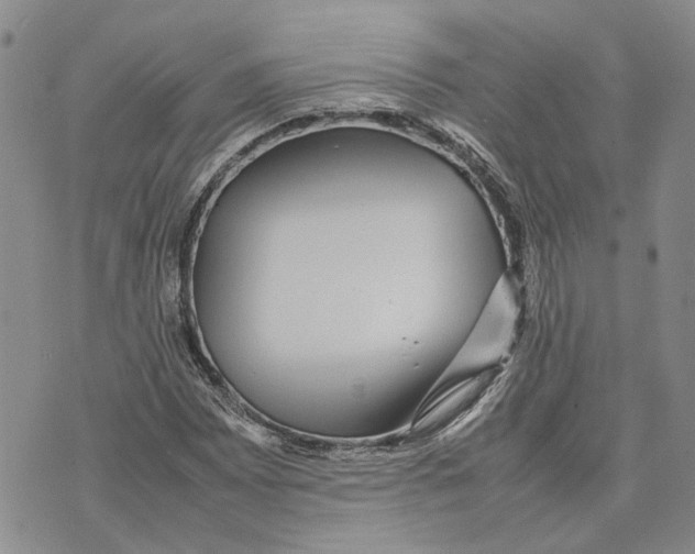 X0000070251065200606301620