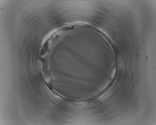 X0000070251066200606301620