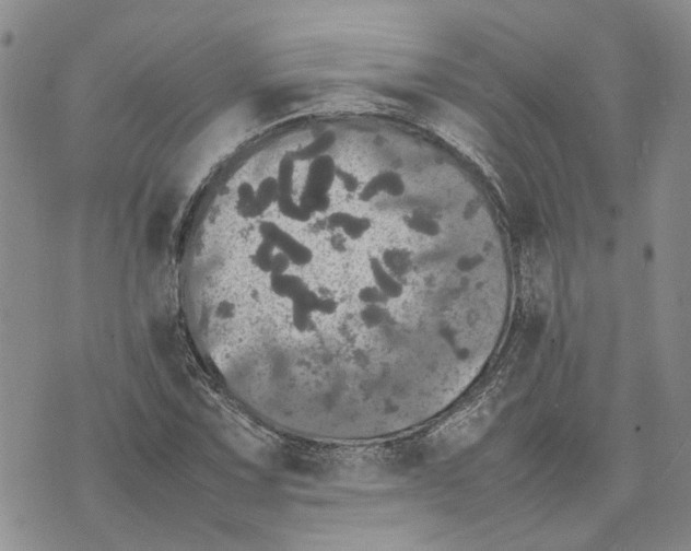 X0000070251067200606301620