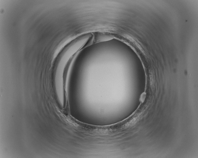 X0000070251069200606301620