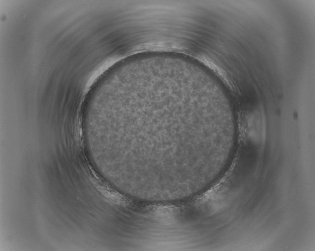 X0000070251070200606301620