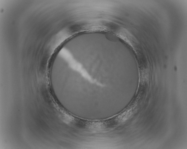 X0000070251071200606301620