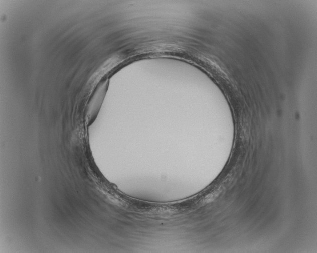 X0000070251073200606301620