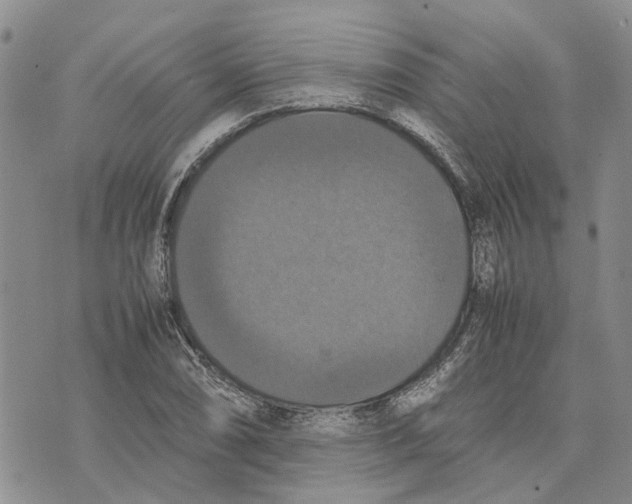 X0000070251074200606301620