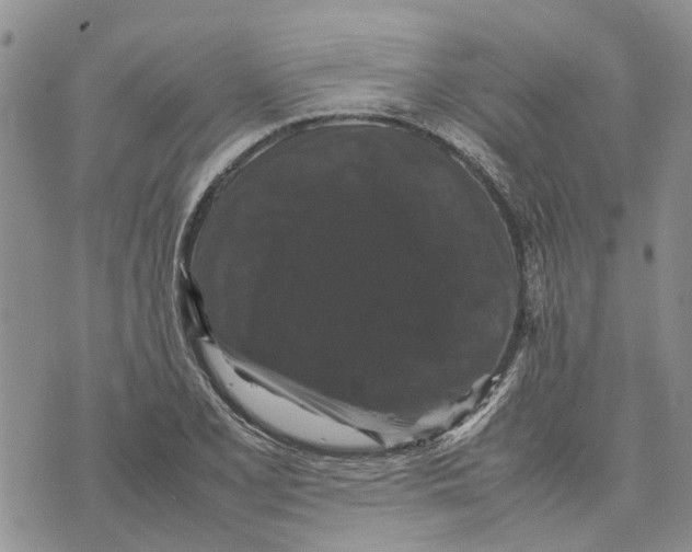 X0000070251077200606301620