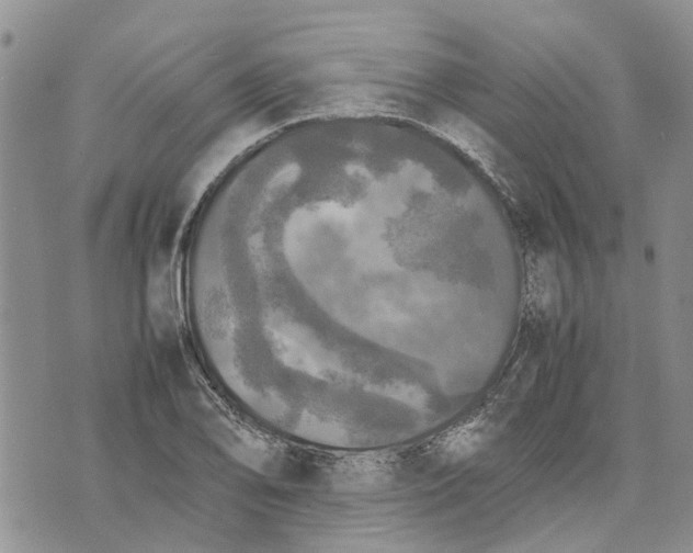 X0000070251078200606301620