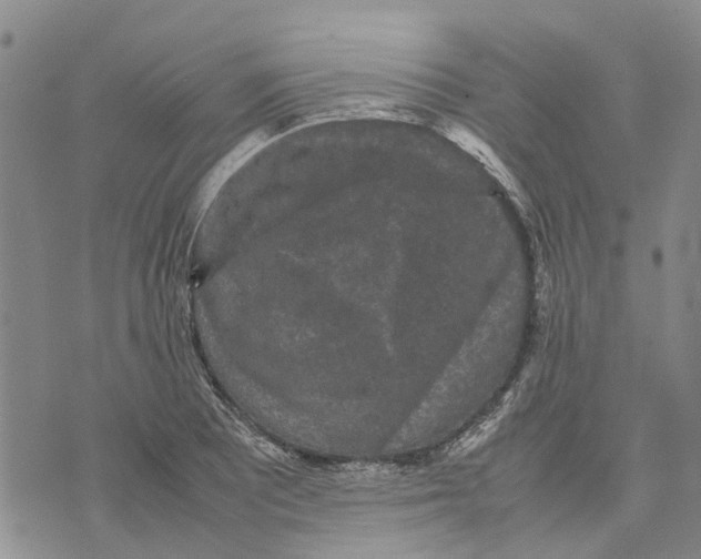 X0000070251081200606301620