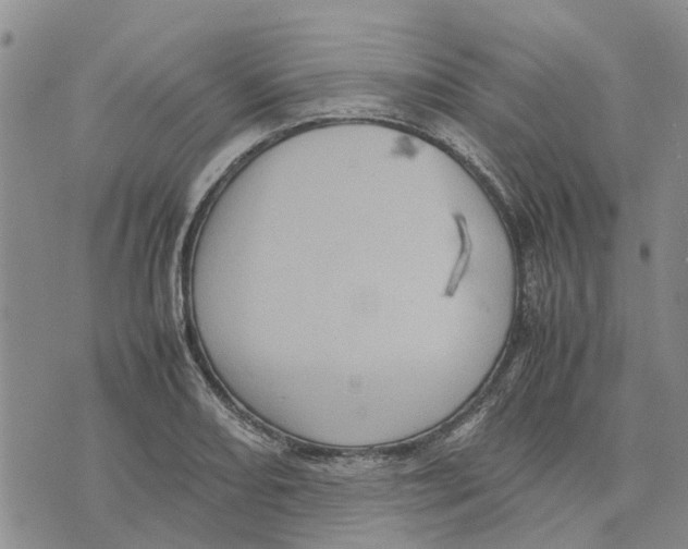 X0000070251082200606301620