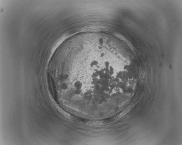 X0000070251083200606301620