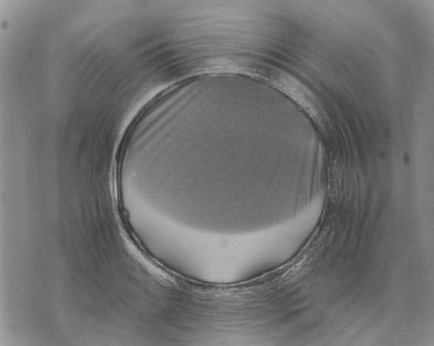 X0000070251084200606301620