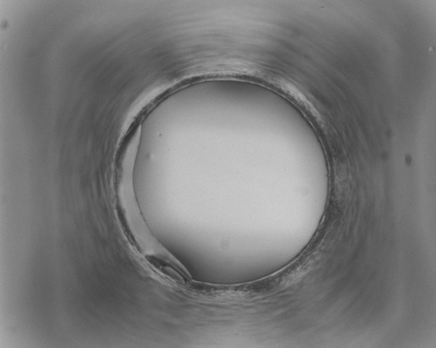 X0000070251085200606301620