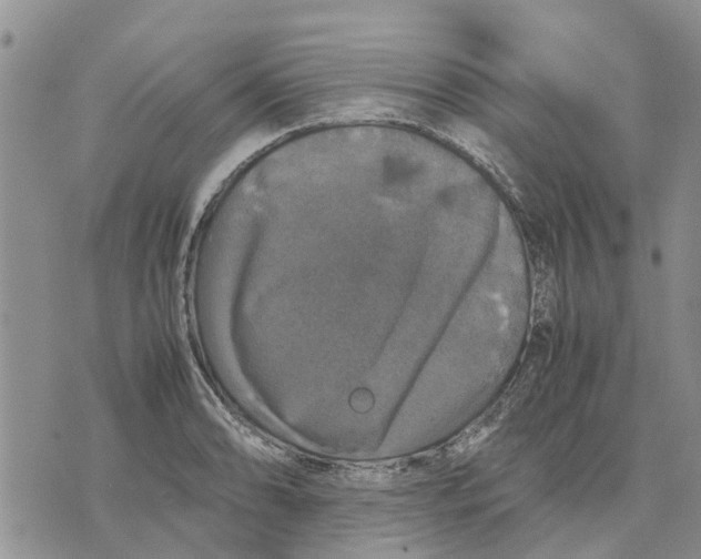 X0000070251086200606301620