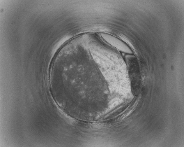 X0000070251087200606301620