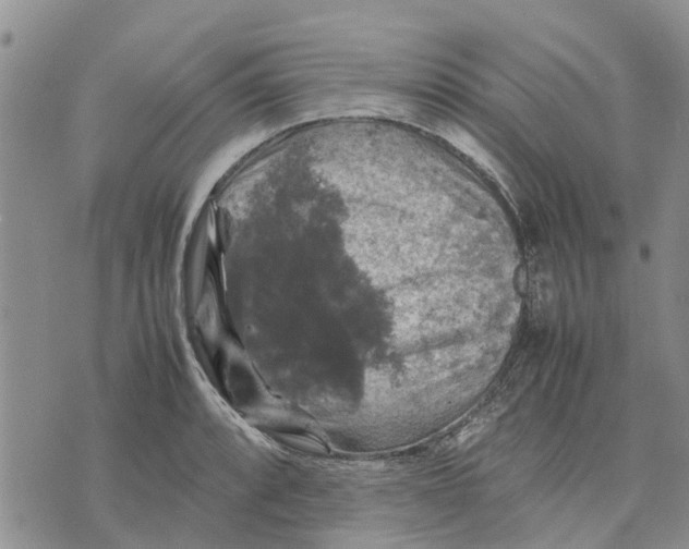 X0000070251088200606301620